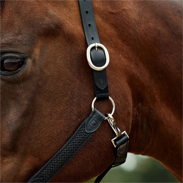 2026 Dublin Braided Leather Headcollar 1031532 - Black